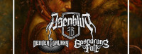 Flyer - Düschda Nordic Night mit Asenblut